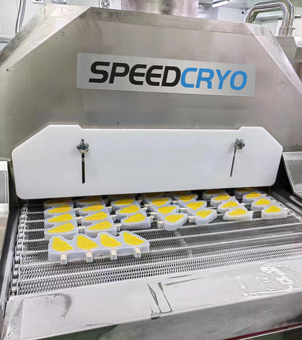 IQF液氮速冻隧道冷冻冰淇淋