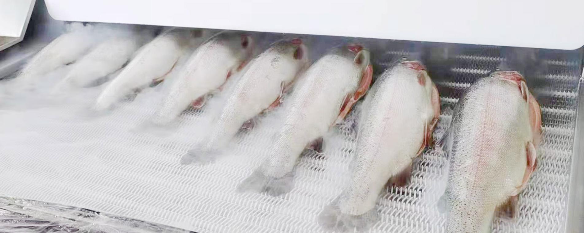 液氮瞬冻，锁住深海本味，鲜如现捕