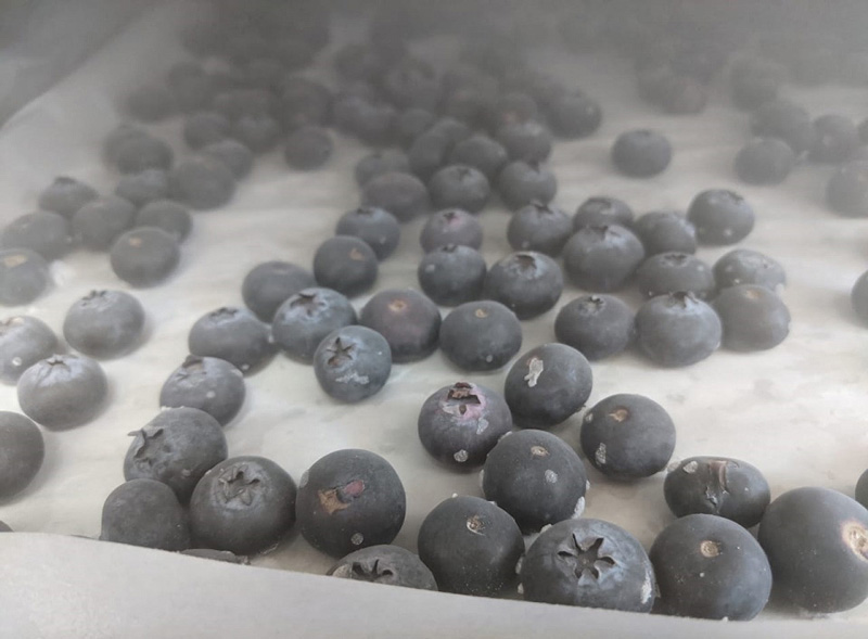 液氮速冻过程如何影响食品的营养成分？