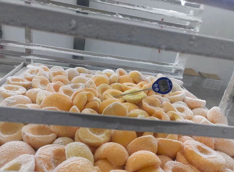 液氮速冻机如何影响冷冻食品的质地和质量？