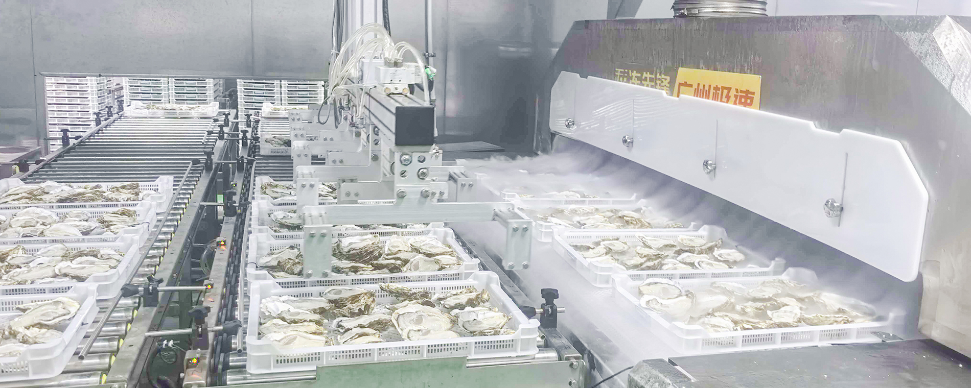 瞬间锁鲜生蚝，口口皆原味