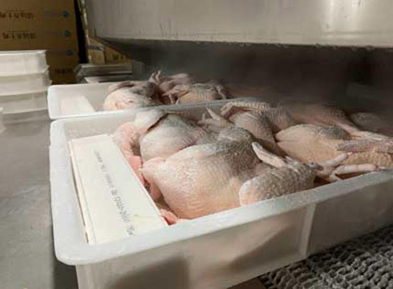 速冻先锋液氮速冻机助力清农公司提升清远鸡速冻质量