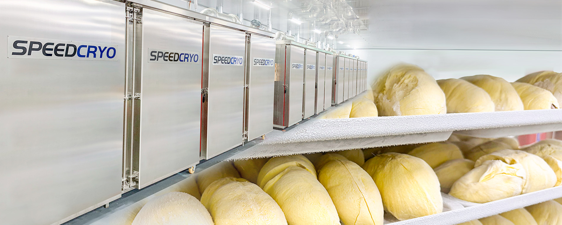 -196℃极速锁鲜，让您的榴莲果肉如鲜剥