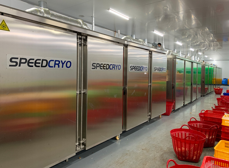 液氮速冻榴莲：为什么-196℃速冻柜才是锁住