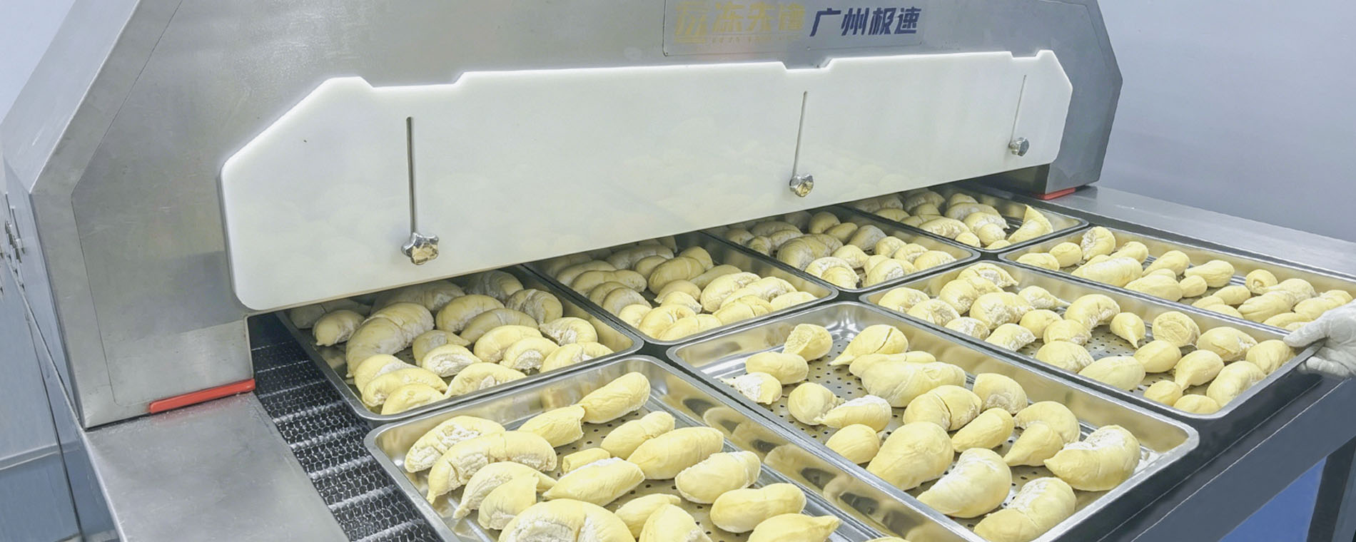 液氮极速锁鲜，一口留住树上熟榴莲本味