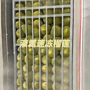 液氮速冻榴莲