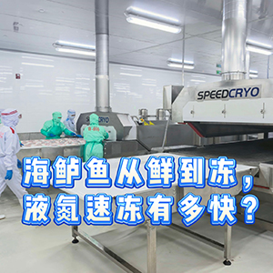 海鲈鱼从鲜到冻，液氮速冻有多快？