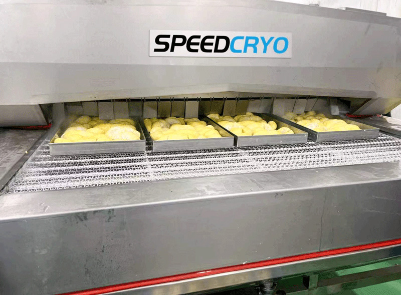 液氮速冻柜的营养保卫战：95%活性物质保留率如何做到